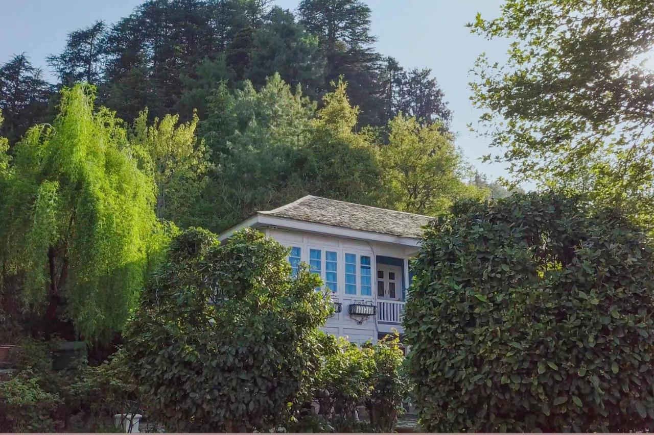 Stayvista At Violet Hill With Bonfire, Gazebo & Hill View Shimla Dış mekan fotoğraf